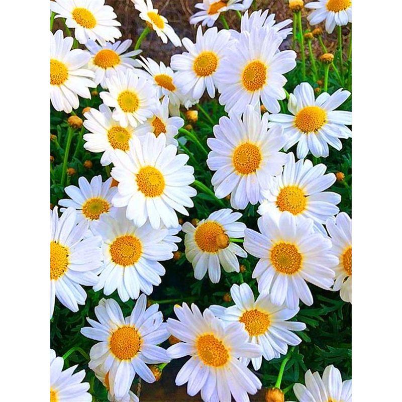 5d Full Diamond Painting Daisy Landscape Diamond Mosaic Embroidery Flowers Crafts Rhinestone Pictures Home Decor