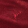 Puma Velour Logo Embroidery Sports Pullover Hoodie Women Tops Burgundy 846417-22