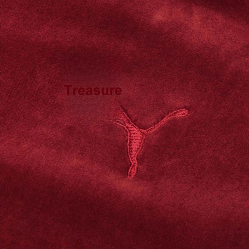 Puma Velour Logo Embroidery Sports Pullover Hoodie Women Tops Burgundy 846417-22