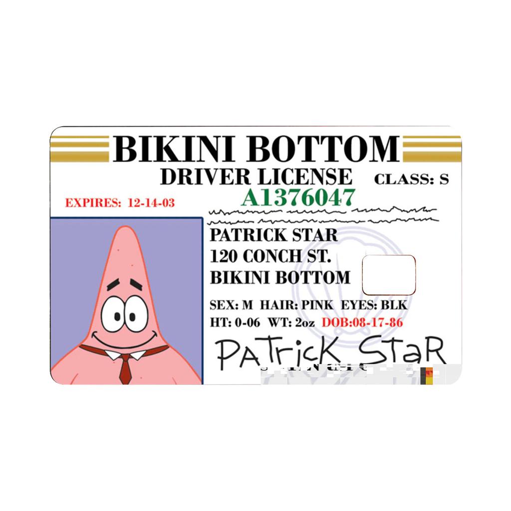 Card Skin Sticker For EBT, Transportation, Key, Credit, Debit Card Skin - Protecting And Personalizing Bank Card - No Bubble, Slim, , Digital-Printed