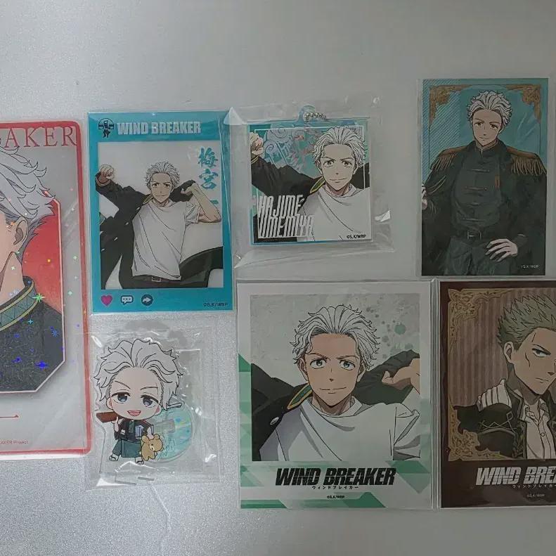 

Umemiya Hajime Set