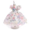 Girls' Dress  Puff Sleeve Princess Dress Children's Floral Dress Mesh Fluffy Dress