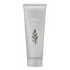 Artemisia Pack Foam Cleanser