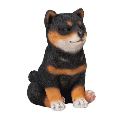 H2O Lovely Dog Mameshiba Black