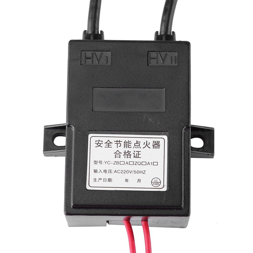 Hoogspanning Generator Continue Ontsteker AC 220V Module Continue Ontsteker 15kV 1A-2A