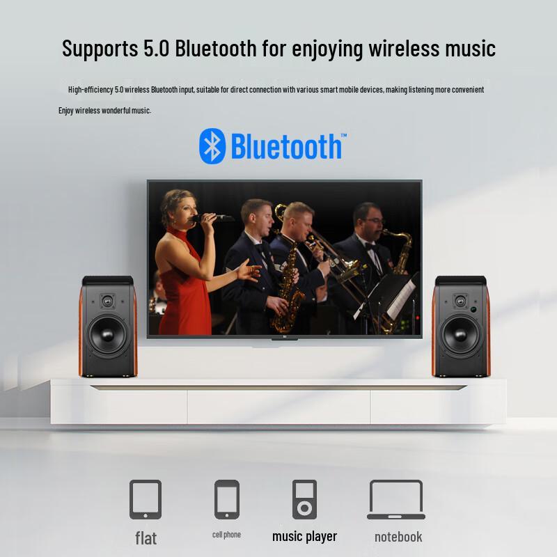HiVi M300II Active Multimedia 2.0 Desktop Speakers (CN version)