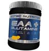 Essential Amino Acids with Glutamine, EAA + Glutamine, (27087026)