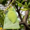 100 Pcs Fruit Protection Bags, 8 x 12 Inch Green Netting Cover Bags with Drawstring, Pest Barrier for Fruit Trees, Garden Fruit Cover Mesh Bag for