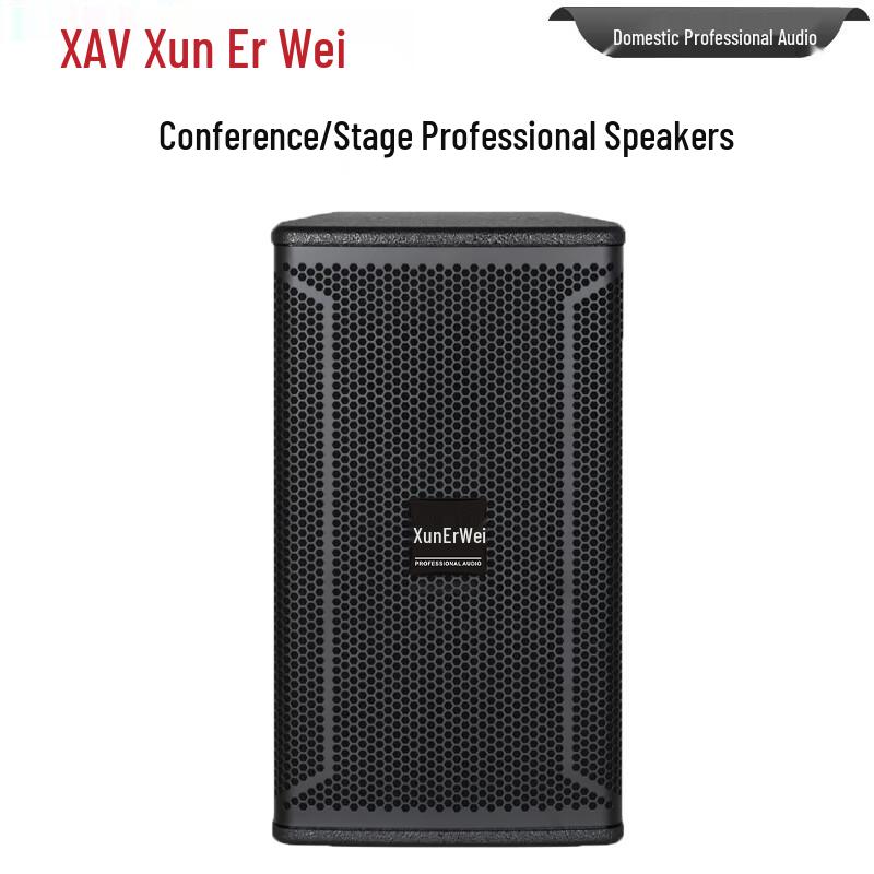 Xun'erwei XK-12 Professional Conference & Event Speaker (CN version)