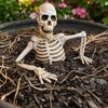 Outdoor Spooky Graveyard Decor Halloween Half Body Skeleton Yard Sign with Adjustable Arms, Weatherproof Plastic Atmosphere Props Skull Lawn