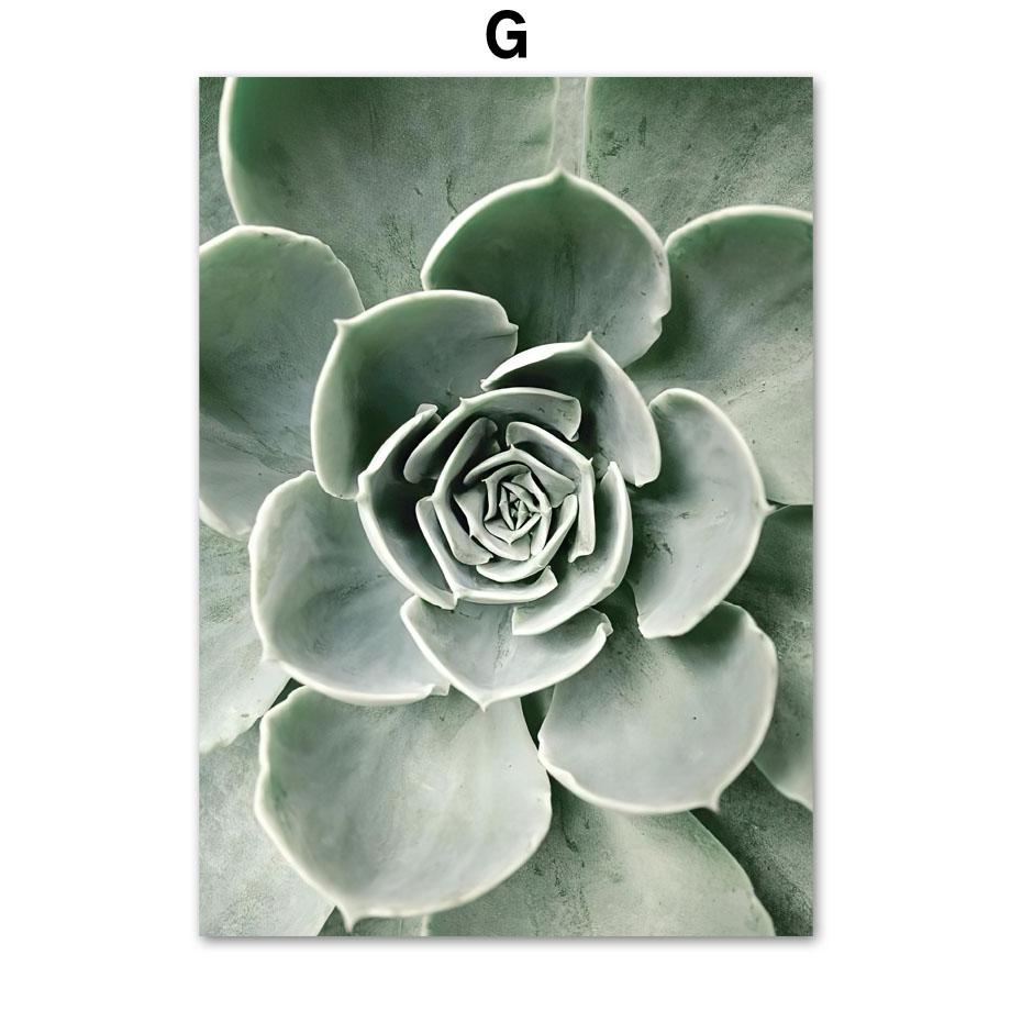 Sunrise Beach Hanging Bridge Eucalyptus Flower Cactus Wall Art Print Canvas Painting Nordic Posters Picture Living Room Decor