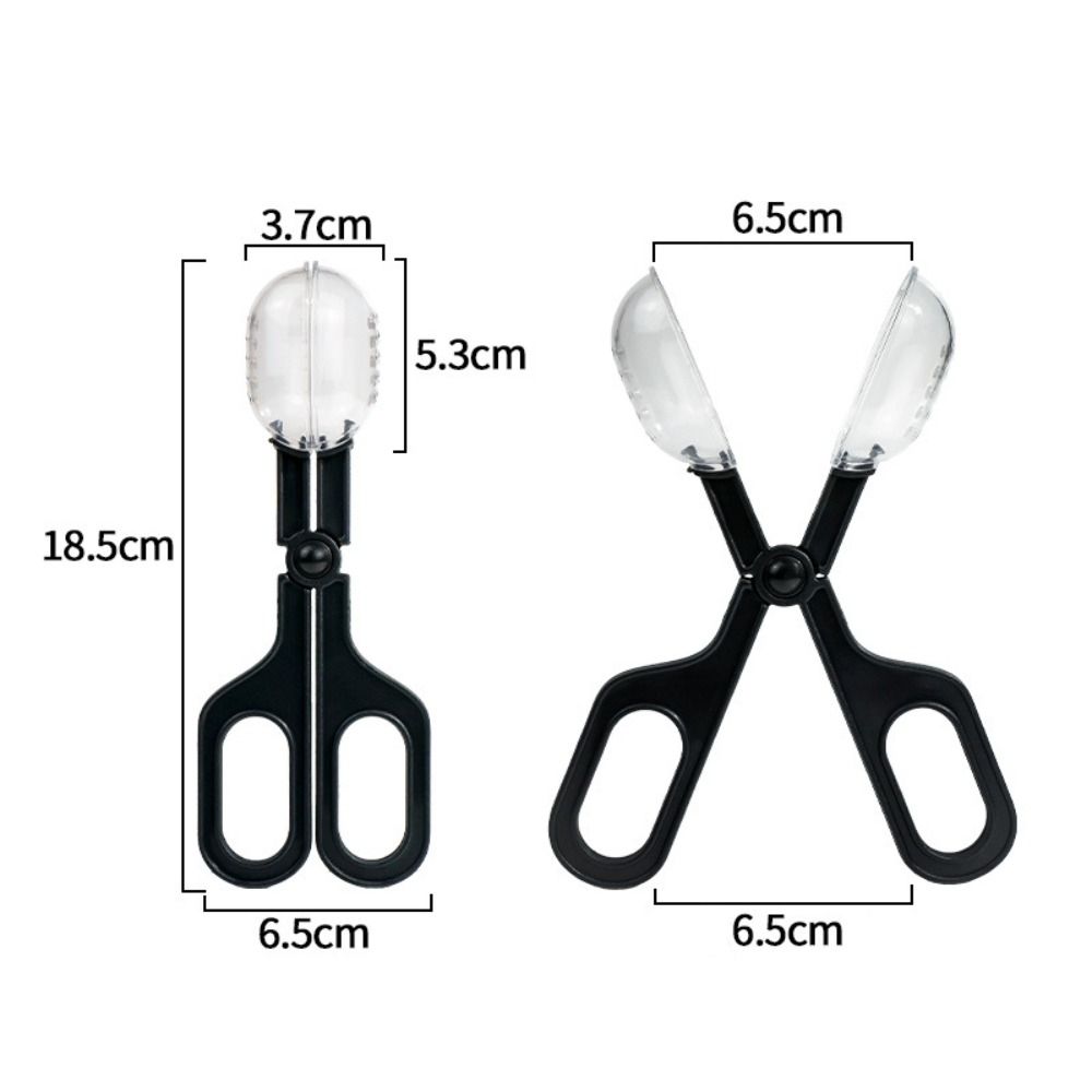 Multifunctional Queen Bee Cage Plastic Convenient Insects Catcher with Ventilation Holes Transparent Insect Traps Cleaning Tools