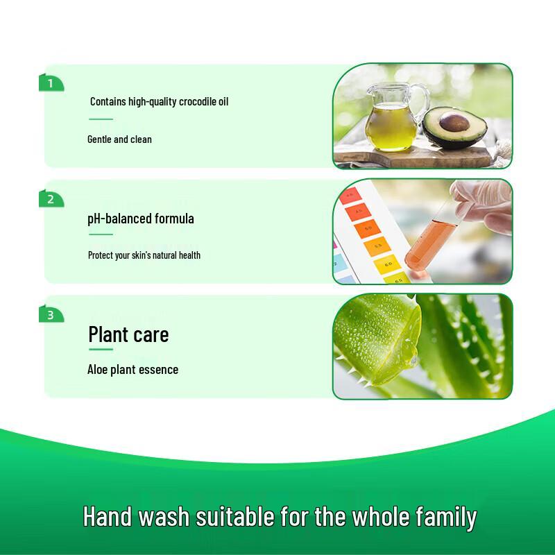 Dettol Plant Care Hand Wash