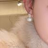 Light Luxury Zircon Stud Sweet Crystal Drop Earrings Simple Pearl Studs  Women