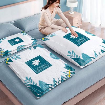 Clothes Vacuum Bag Save Space In Closet With Handy Storage Solution Vacuum Bag Is Good Tool
