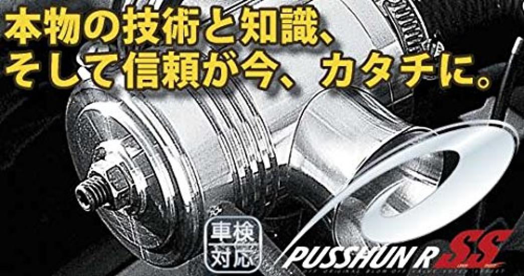 

Copen L880K Pushun R SS -