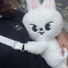Stray Kids Plush  Soft and Cute Kid Adult Fans Birthday Gift K-POP Collection