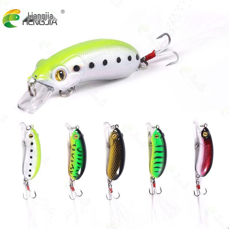 Hengjia Rock Beetle 10g Slow Sinking Hard Bait Fishing Lure CC60 Fake Bait