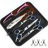 6.0 Inch Hair Scissors, Set (Flat Scissors + Tooth Scissors + Bag + Maintenance Oil + Piece Comb) Hair Scissors