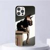 Lavaza Sphynx Sphinx Cat Soft Case For iPhone 16 17 Air 16E 15 Plus 11 12 13 Mini 14 Pro Max Phone Cover Apple 7 8 SE Coque Fund
