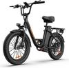 URLIFE E20 All Terrain Electric Bike 48V13Ah Battery 500W Motor Eiectric Bicycle 20 Inch Off-Road Tire E-Bike