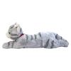 Sun Lemon Knee Cat Plush Toy M Size Gray
