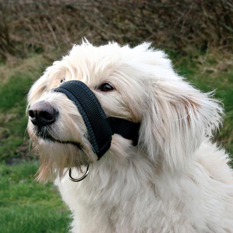 Pet Dog Adjustable Mouth Muzzle Padded Head Collar Gentle Halter Leash Leader Anti Bite Stop Pulling Training Tool for Dog