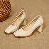 Fashion 2025 New Spring Women's Luxury Shoes Fashion Pointed Toe French Style Thick Heel Shoes Female Professional Elegant High Heels