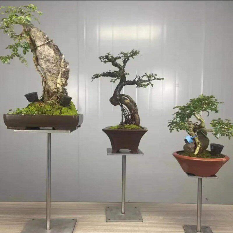 

Stainless Steel I-Beam Bonsai & Flower Display Stand Custom Order