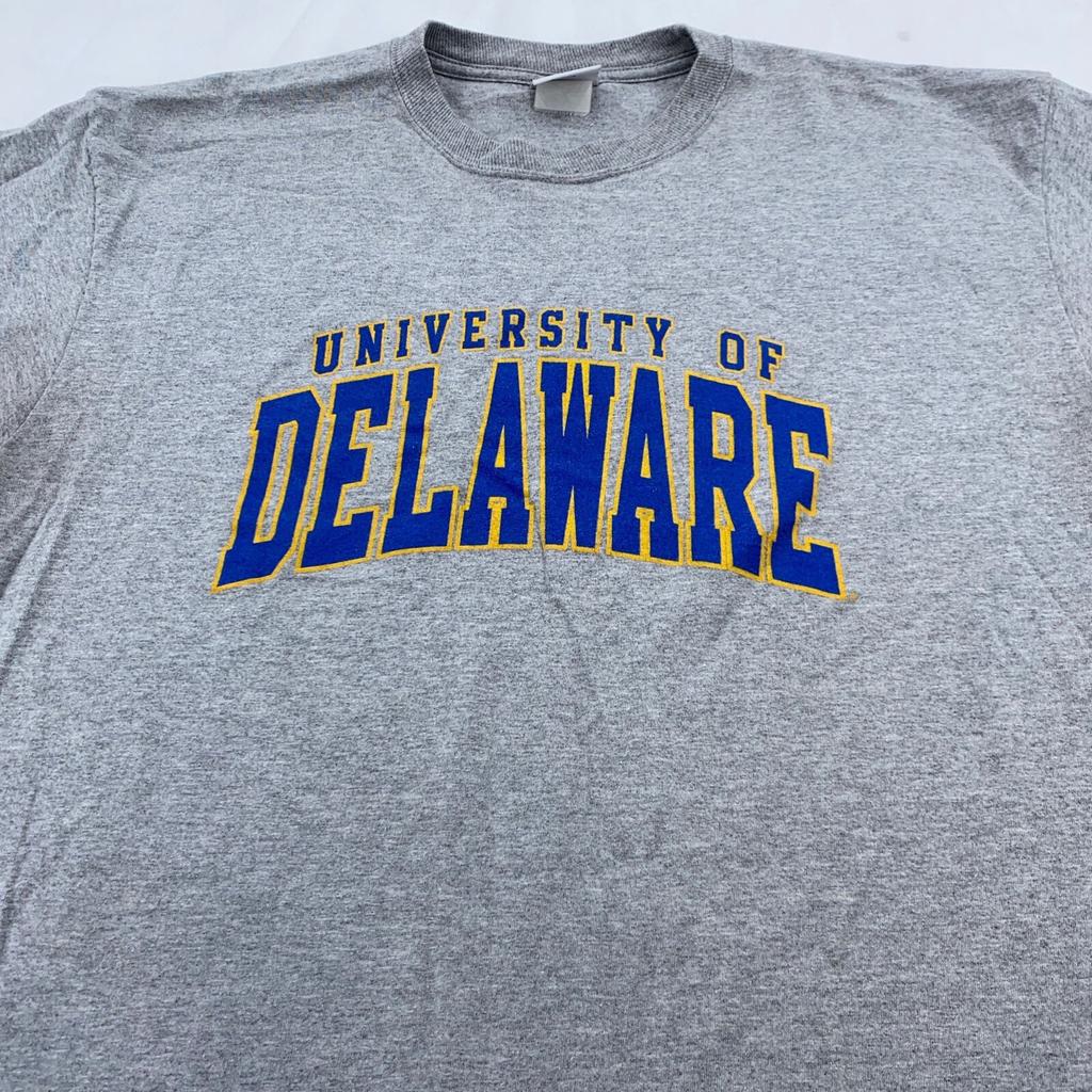 Vintage UNIVERSITY OF DELAWARE T-Shirt XL College Blue Hens