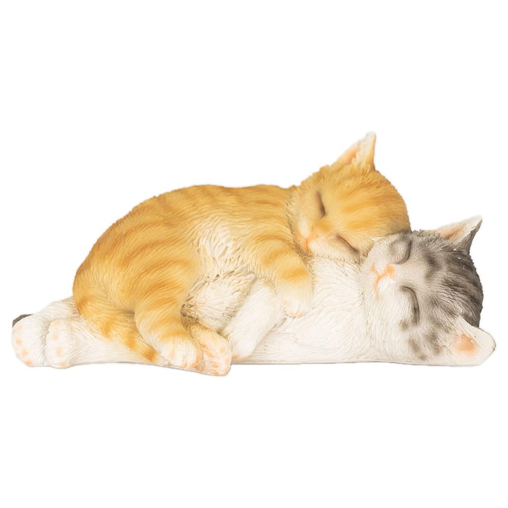 

Калико Браун Макрель Кот Подарок на день рождения для чашки Идея Белый день офисный вечер [Необычный] Кот, кот, полосатый, полосатый, любовник, женщины, мужчины, животные, рамен,