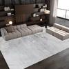Modern Luxury Living Room Carpet 160x200 Large Room Decoration Aesthetic Printed Washable Rugs for Bedroom Soft Mat for Children