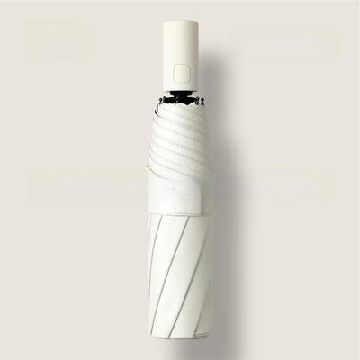 Women's Wind-Resistant Automatic Umbrella: Large, Foldable, Sunshade & Rain Protection, Simple Design, Ins Style