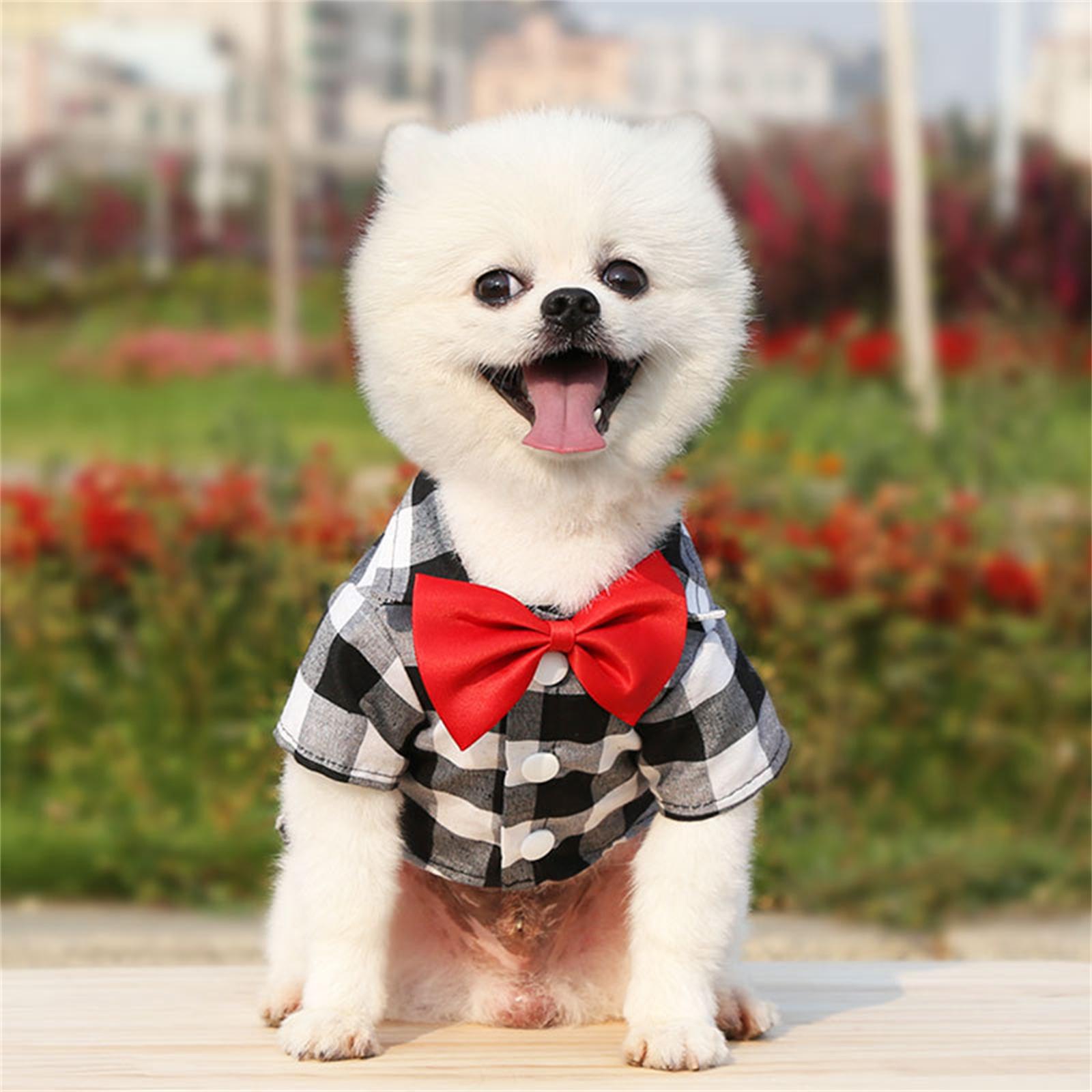 Dog Sweatshirt, Dog Shirts Pet Sweatshirt Clothing XS