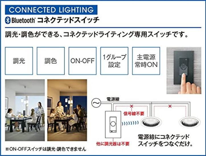 ODELIC LED Dimmable and Color-Adjustable Connected Switch, White: LC617