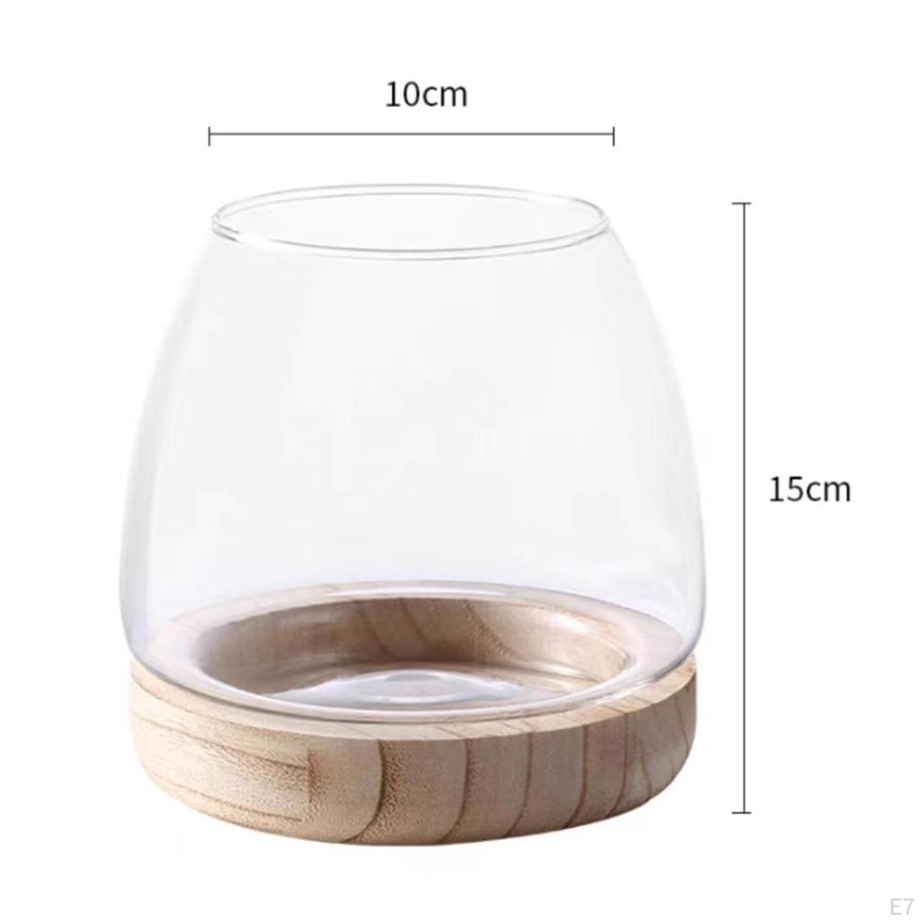 Klarer Glas-Pflanztopf mit Holzsockel für die Präsentation von Zimmerpflanzen