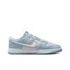 Nike Dunk Low Fleece Swoosh - Light Blue 2023 FB1871-011
