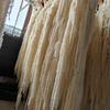 Hanging Rice Dried Preserved Flowers Wedding Decor 'Lover's Tears'