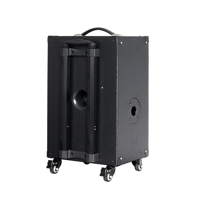 MIGAO MG1263A-Li 250W Portable Instrument Speaker System