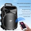 Soaiy ST-809WM Portable Karaoke Speaker