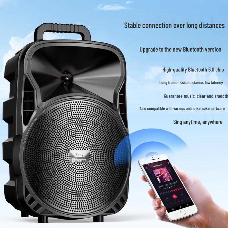 Soaiy ST-809WM Portable Karaoke Speaker