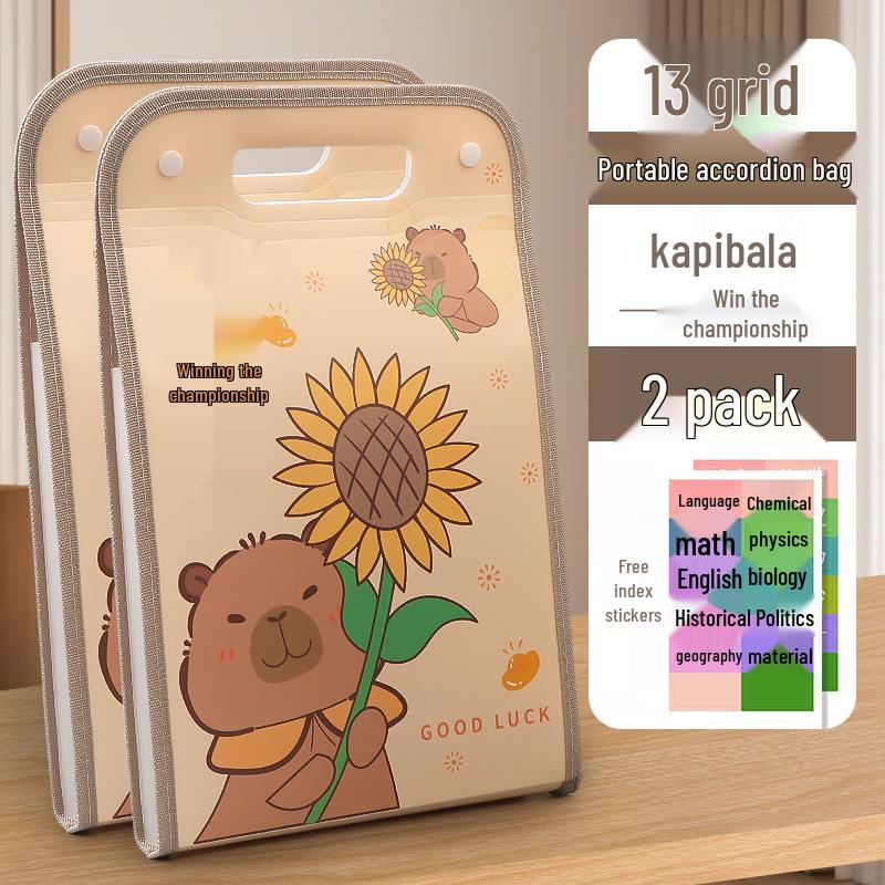 Accordion Bag 5250: Junior High Student Handheld Storage Folder