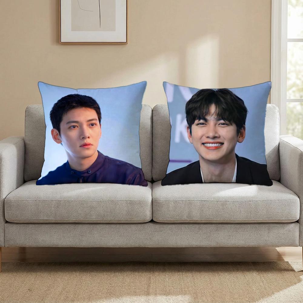 J-Ji C-Chang Wook Cushion Cover Multi-Scene Pillow Cover for Home & Car - Reversible, Soft & Durable for Daily Use
