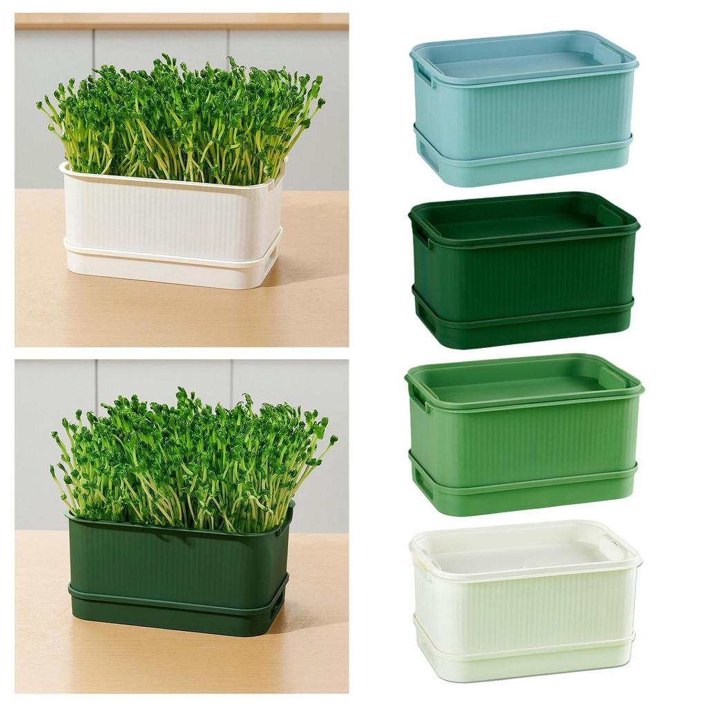 Seed Sprouts Tray Sprout Planting Container, Multifunctional Mini Greenhouse Germination Kits for Arugula Mung Bean Broccoli