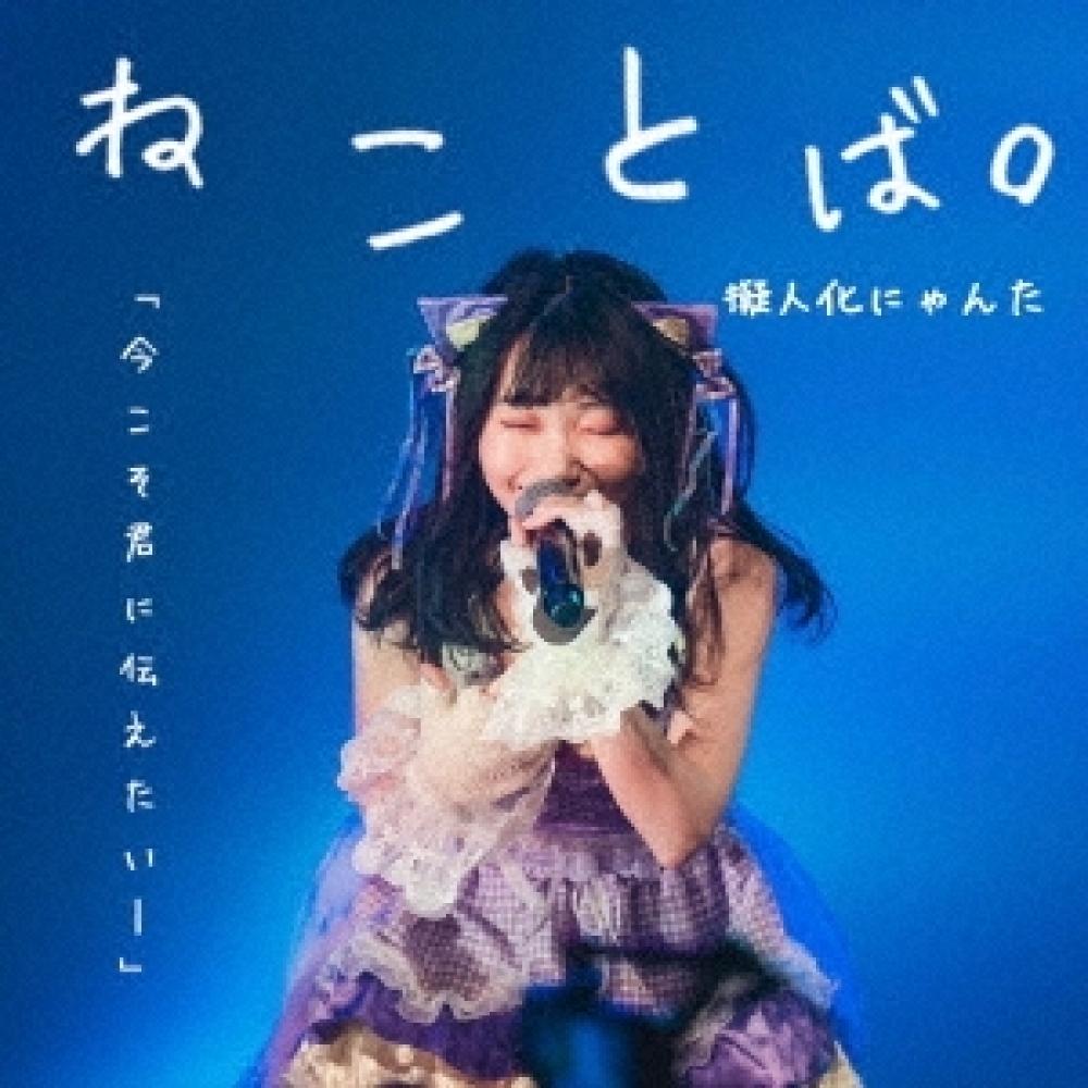 

Anthropomorphic Cat Words.