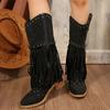 2025 Winter Women Fringes Thick Heel High Boots Suede Pointed Toe Outdoor Fashion Platform Shoes Willow Nails Pumps Women Shoes