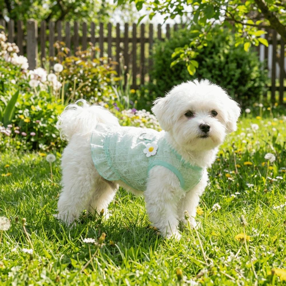 Flying Sleeves Dog Cool Dress Breathable Mesh Pet Floral Skirt Summer Pet Clothes  Spring Season