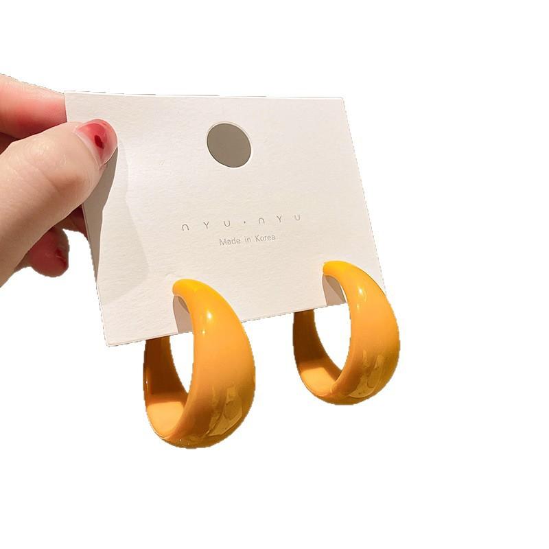 French Retro Silver Needle Round Flat Round Resin Fringed Earrings Light Luxury High-end Earrings Versatile Earrings