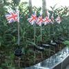 Solar Ground Lights LED Flag Lights Garden Decorative Lights Patio  Lights