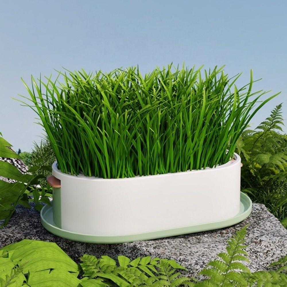 Prevent Overflow Hydroponic Planting Tray Removable Hydroponic Cat Grass Box Cat Snacks